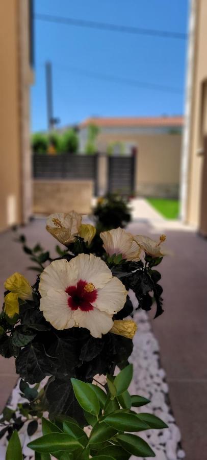 Splendid Villas And Family Resort Kalamitsi Amygdali Exterior photo